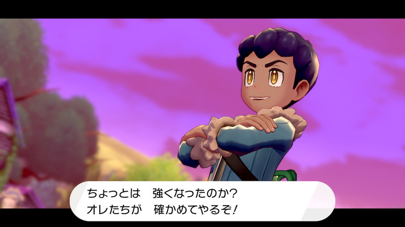 ポケモン剣盾プレイ日記4 ワイルドエリア到達編 意識低い系モデリング