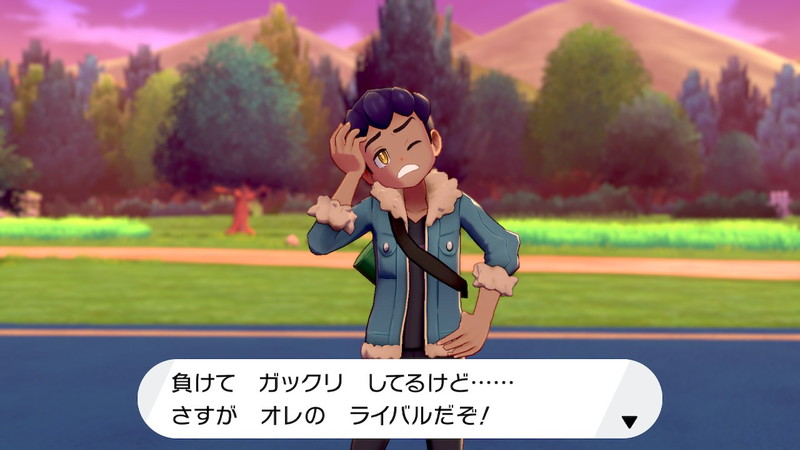 ポケモン剣盾プレイ日記4 ワイルドエリア到達編 意識低い系モデリング